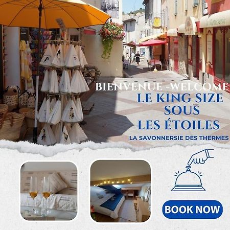 Le King & Suites Etoilees Gréoux-les-Bains Buitenkant foto
